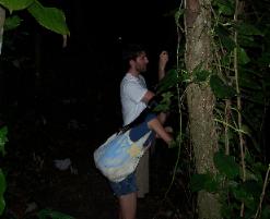 Private night hike on August 28, 2008.