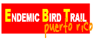 ENDEMIC BIRD TRAIL OF PUERTO RICO