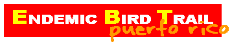 PUERTO RICO ENDEMIC BIRD TRAIL---  ALL-INCLUSIVE BIRDING PACKAGE