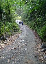 La ruta del café - Coffee Plantation Zone, photo by Hilda Morales, copyrights AdvenTours