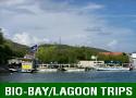 PUERTO RICO:  BIO-LAGOON KAYAK TRIP (LAGUNA GRANDE) FOR SAN JUAN VISITORS
