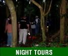 NIGHT TOURS - NIGHT HIKES IN EL YUNQUE, OLD SAN JUAN NIGHT STROLL