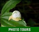 Islandwide Photo Tours