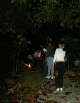 Night hike @ El Yunque National Forest - Photo by Lynette P�rez