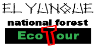 EL YUNQUE NATIONAL FOREST ECOTOUR