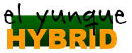EL YUNQUE HYBRID
