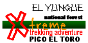 Pico El Toro Trekking Adventure at El Yunque National Forest