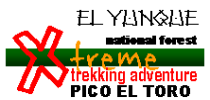 Pico El Toro Trekking Adventure at El Yunque National Forest