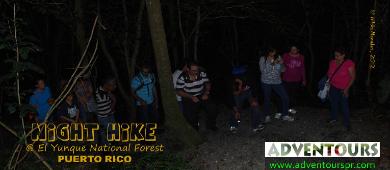PUERTO RICO - NIGHT HIKES AT EL YUNQUE NATIONAL FOREST