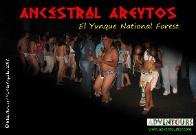 ANCESTRAL AREYTOS AT EL YUNQUE NATIONAL FOREST