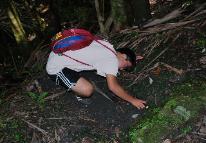 Looking for fungi and coquis at El Yunque National Forest.