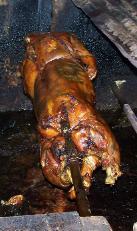 Roasted pig at Lares.