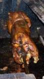 Roasted pig at Lares.