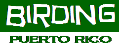 BIRDING IN PUERTO RICO