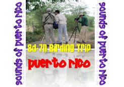 All-inclusive birding packages @ Puerto Rico