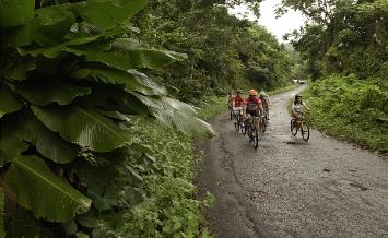 El Yunque National Forest Bike and Hike Adventure