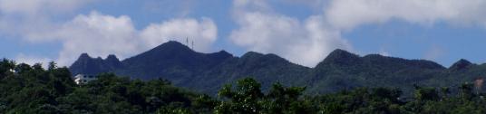 View of El Yunque National Forest from our home in Luquillo.