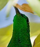 Photo by Ren� Fuentes, 2009.