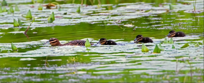 Photo by Ren� Fuentes