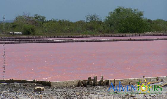 Cabo Rojo Salt Flats by AdvenTours 