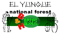 BIKE AND HIKE AT EL YUNQUE NATIONAL FOREST - PUERTO RICO