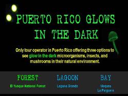 Puerto Rico Glows in the Dark