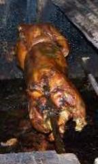 Roasted pig at Lares.