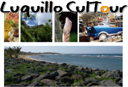 EPICURIOUS EXPEDITIONS OF PUERTO RICO - LUQUILLO CULTOUR