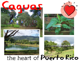 Caguas City Tour